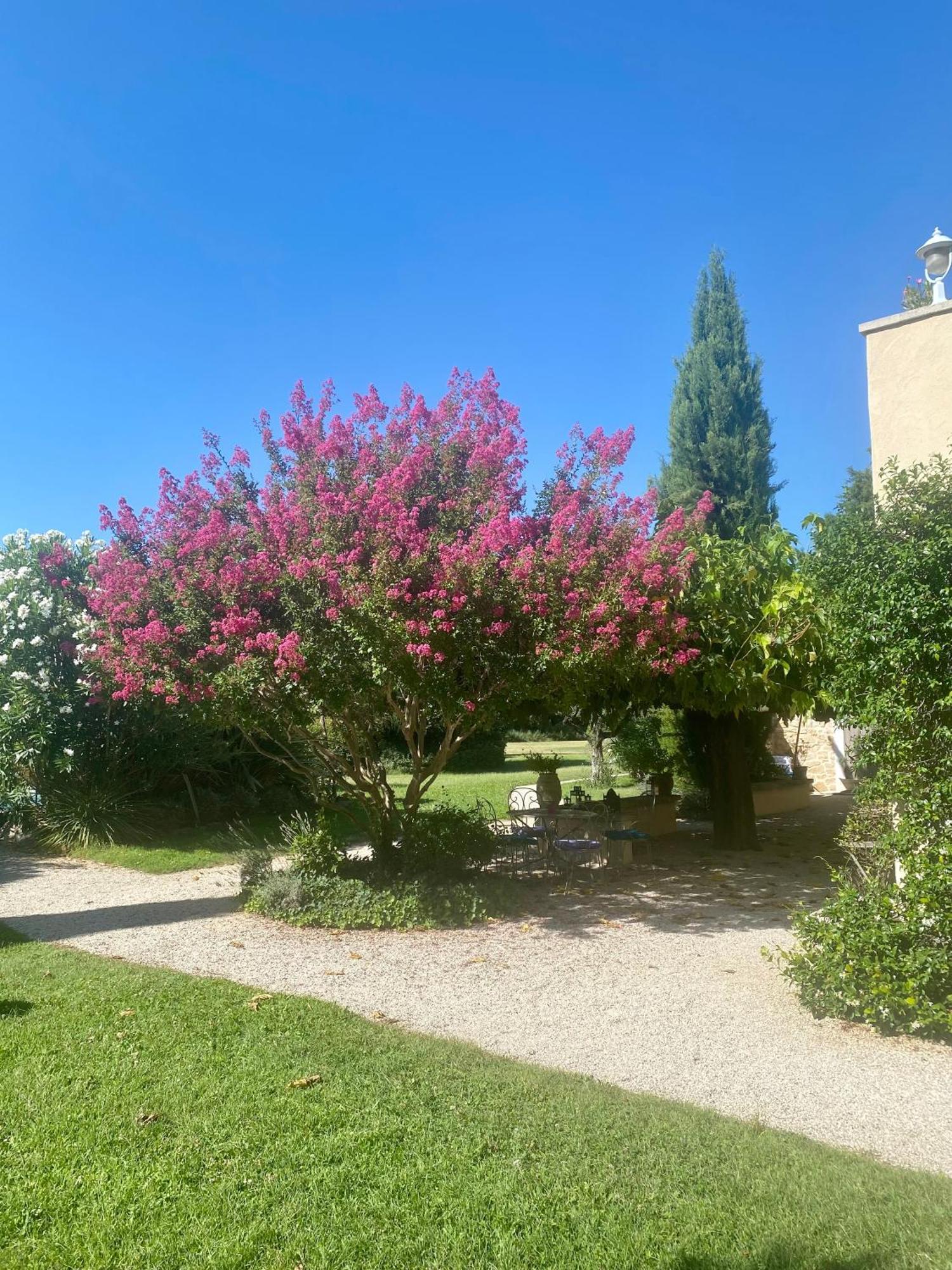 Bed and Breakfast Mas Les Fleurs D'Hilaire Monteux Zewnętrze zdjęcie
